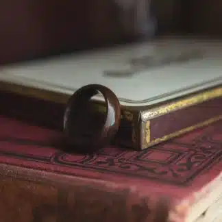 8 mm Bentwood Ring with Ebony Wood Model #9301.9